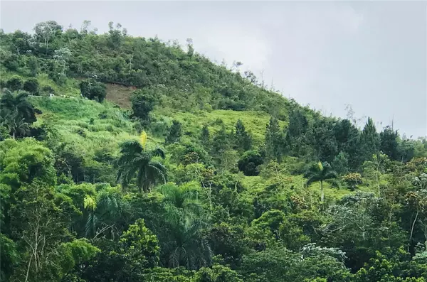 Cidra, PR 00739,173