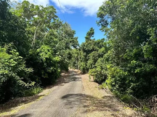 Road PR-140 km 34.2 BARRIO DON ALONSO, Utuado, PR 00641