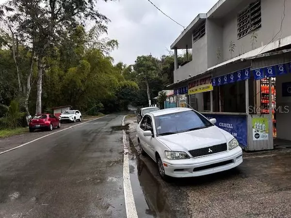 Cayey, PR 00736,Carretera 730 Km 0.6 MATON ABAJO