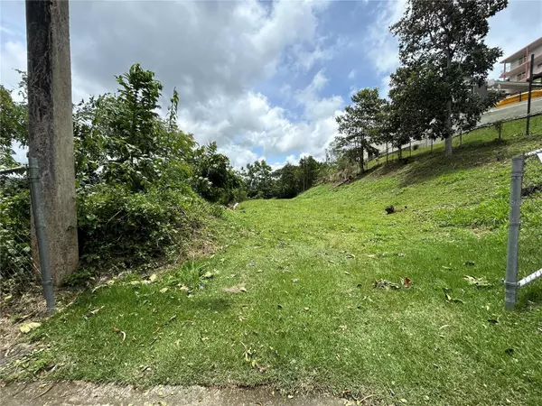 Cayey, PR 00736,Sr 172 RINCON WARD, SECTOR LOMA PIRFO #Lot 2