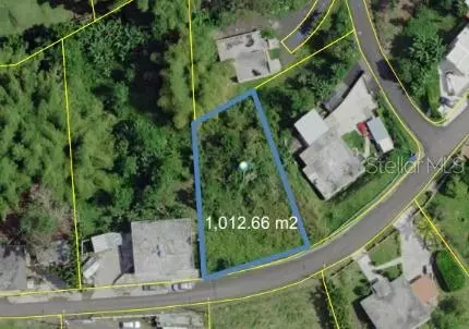 Cidra, PR 00739,Lot 5 PALMA ST.,RABANAL WARD