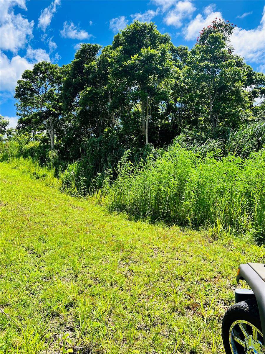 Carolina, PR 00987,857 CARRETERA
