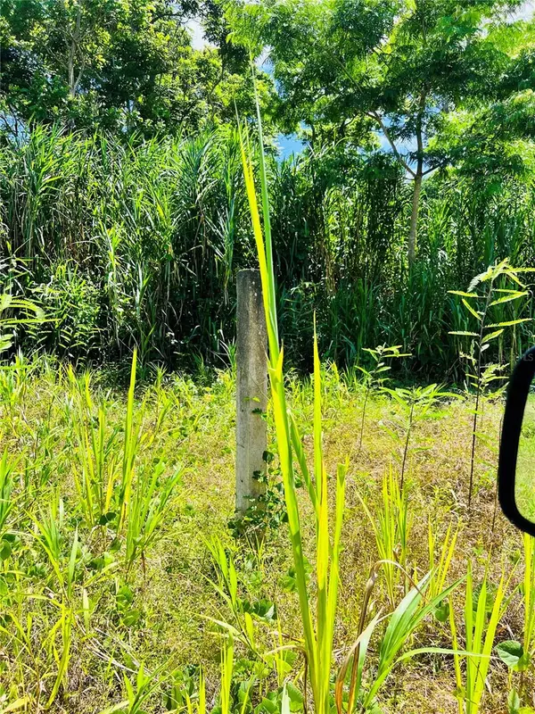 Carolina, PR 00987,857 CARRETERA