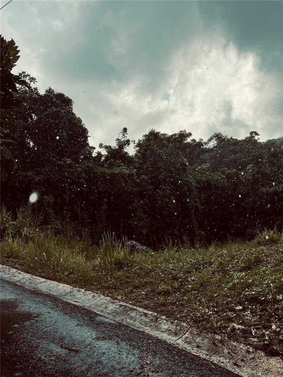 Canovanas, PR 00729,907 CARRETERA