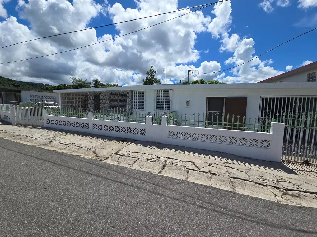 Juncos, PR 00777,Calle 4 EL MANGO