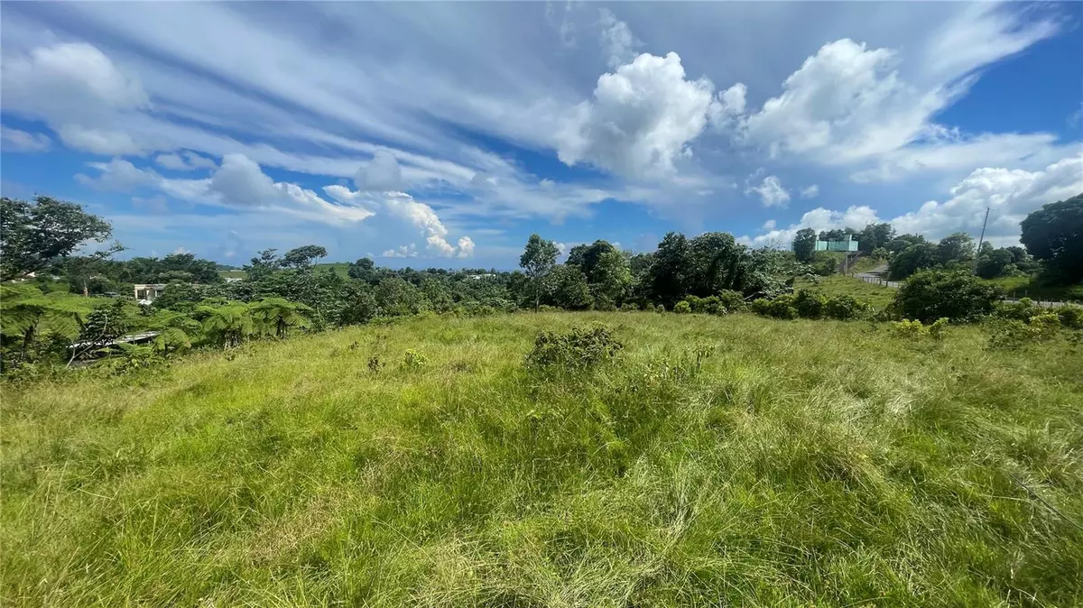 Yabucoa, PR 00767,PR-9903