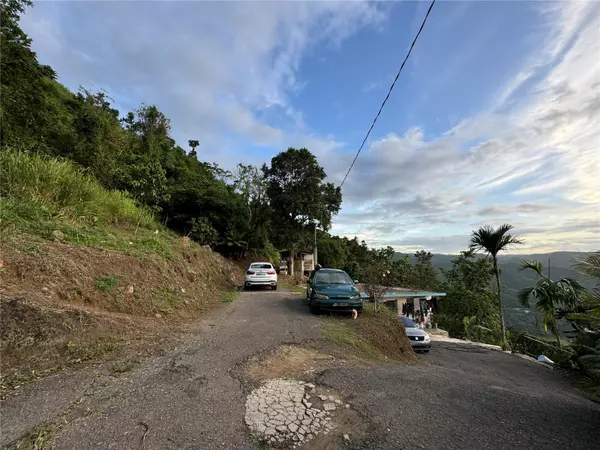 Cidra, PR 00739,PR 173 KM 5.9 BARRIO SALTO, INT.