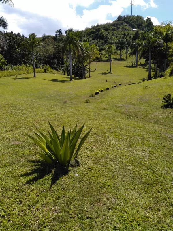 Luquillo, PR 00773,PR-992 KM 5.7 BELLO SITIO MAMEYES, LOT 9