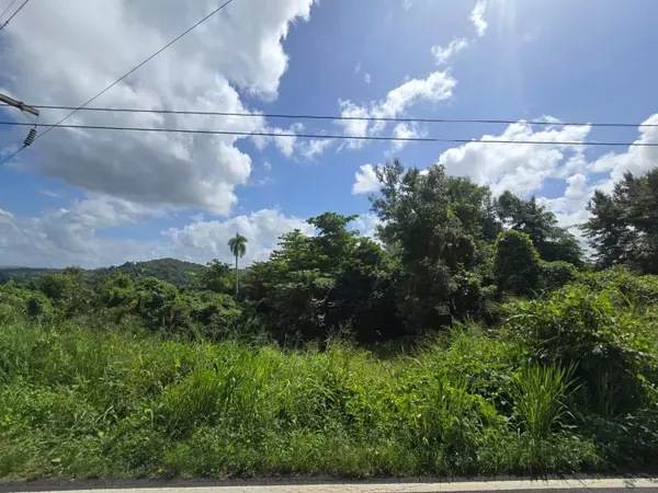 Ciales, PR 00638,Bo Cordilleras PR 166