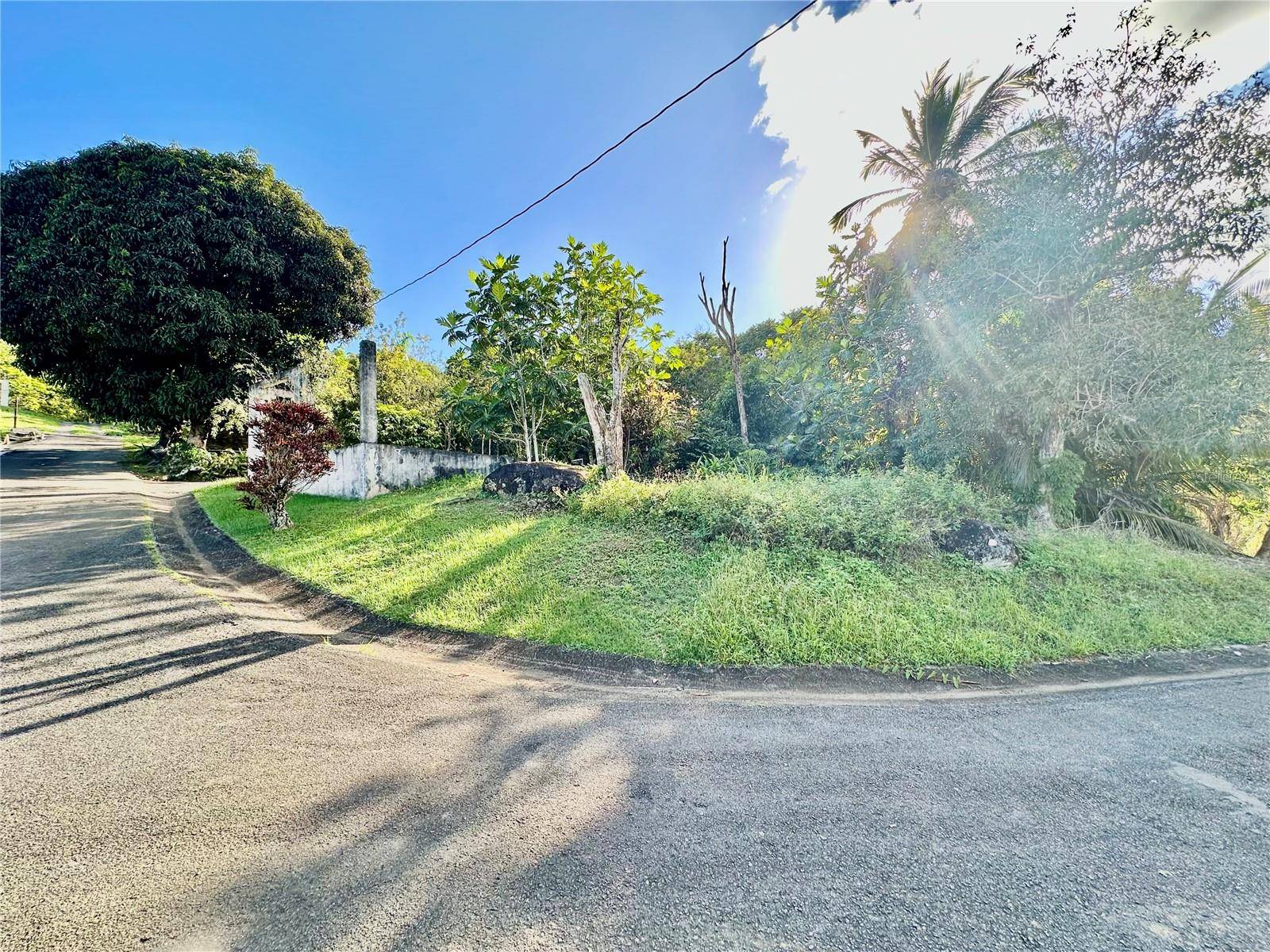 Road 185 Barrio Cedros ROAD 185 BARRIO CEDROS, Carolina, PR 00987
