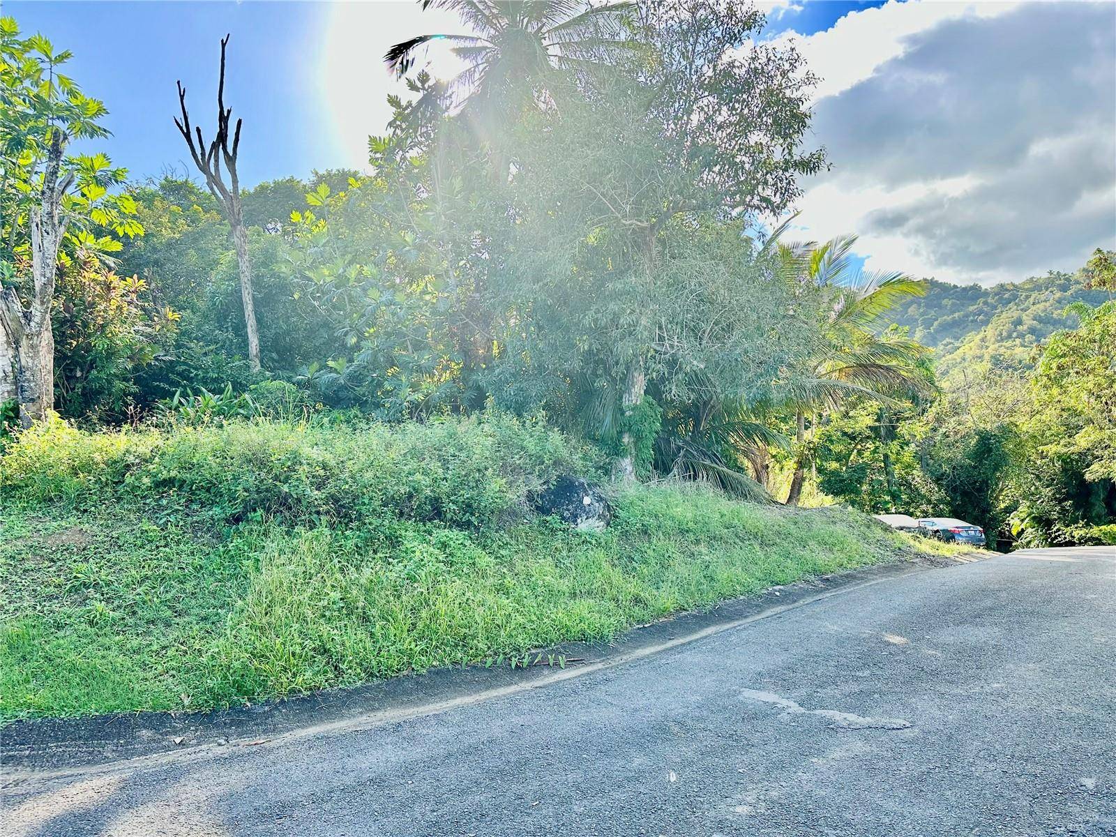 Carolina, PR 00987,Road 185 Barrio Cedros ROAD 185 BARRIO CEDROS