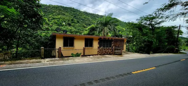 173 CARR SR, Aibonito, 00705