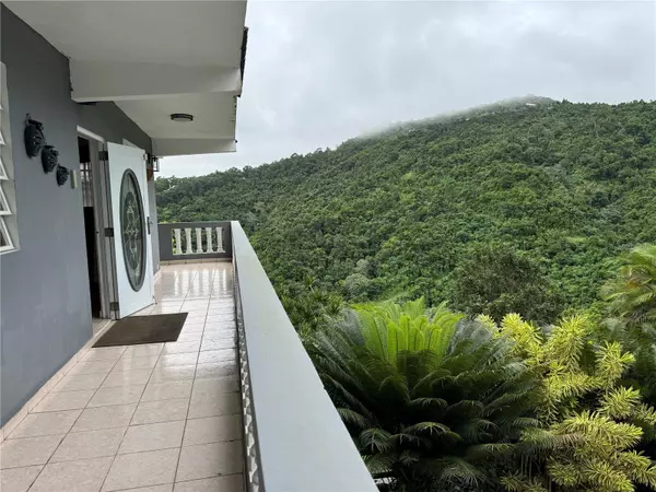 Cayey, PR 00736,PR-715 CERCADILLO WARD