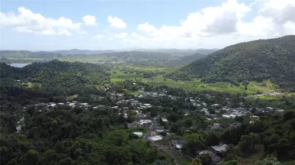 Naguabo, PR 00718,31 INT 950 KM.HM 9.7 BO RIO BLANCO