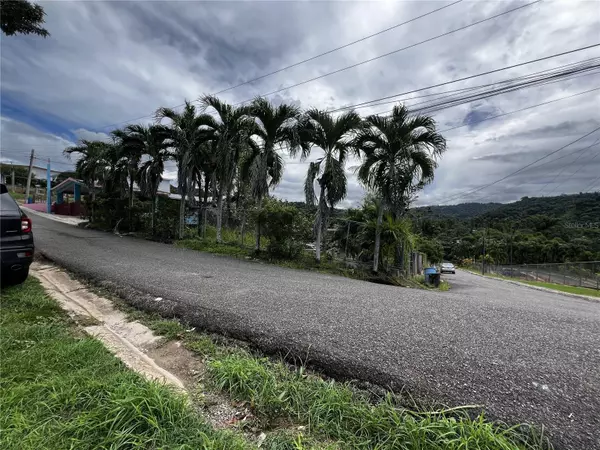 Mayaguez, PR 00680,Carr. 106 Km 6.6 BO. QUEMADO