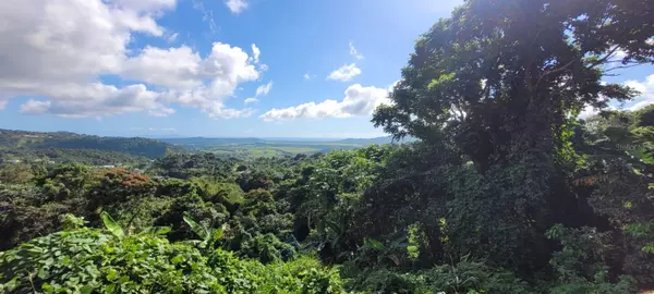 Yabucoa, 00767,SR 900 QUEBRADILLAS