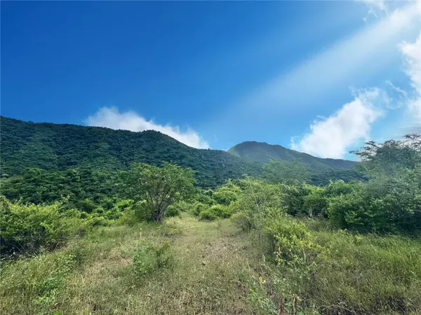 Coamo, PR 00769,BO. PALMAREJO PR-702 KM.HM 5