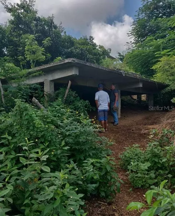 Vieques, PR 00765,COMUNIDAD VILLA BORINQUEN