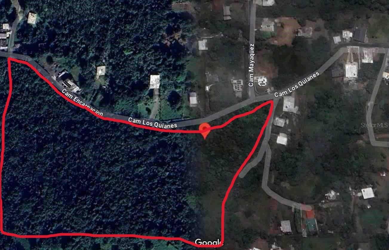 LOS QUIANES, Rio Grande, PR 00721