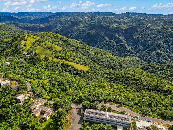 Barranquitas, PR 00794,Carr. 156 KM 20.1 INTERIOR BO. HONDURAS