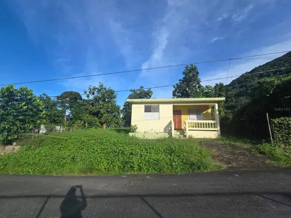 Yabucoa, PR 00767,252 CALLE FELICITA PINTO MORALES COMUNIDAD PLAYITA