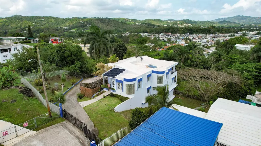 120 CALLE MONTE PRADERAS DEL PLATA, Cayey, PR 00736