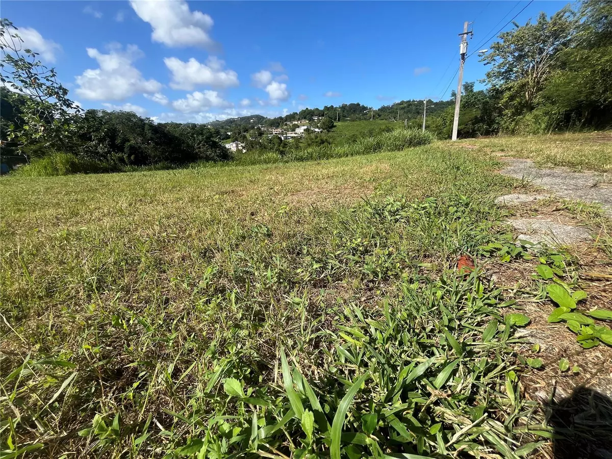 Yabucoa, PR 00767,CARR. 906 KM1.3 SEC. LA COMUNA SOLAR #21