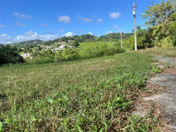 Yabucoa, PR 00767,CARR. 906 KM1.3 SEC. LA COMUNA SOLAR #18