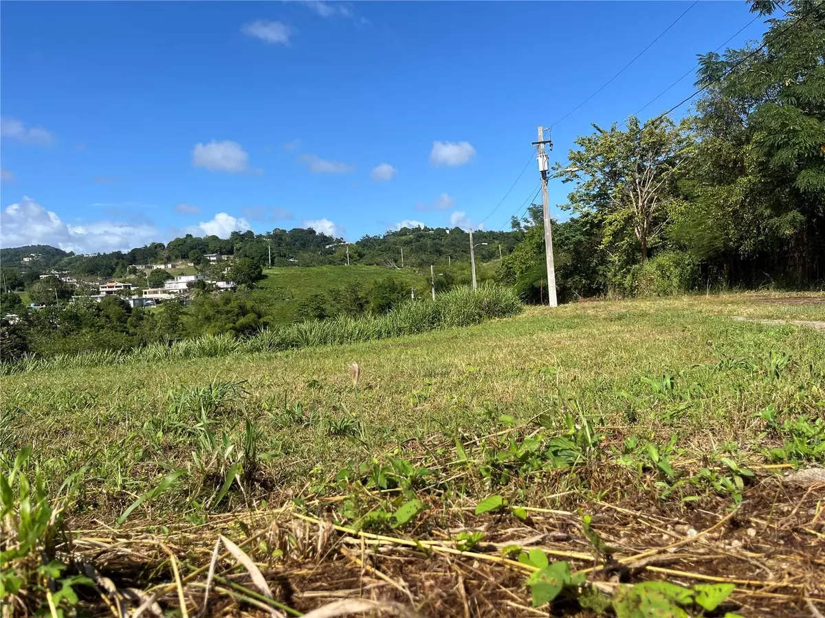 Yabucoa, PR 00767,CARR. 906 KM1.3 SEC. LA COMUNA SOLAR #14