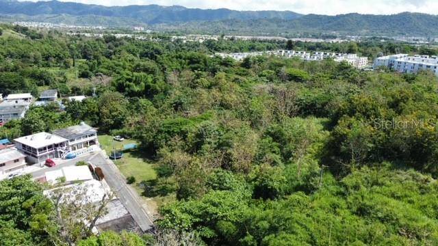 Caguas, PR 00725,PR-784 STATE ROAD PR-784 RD #22