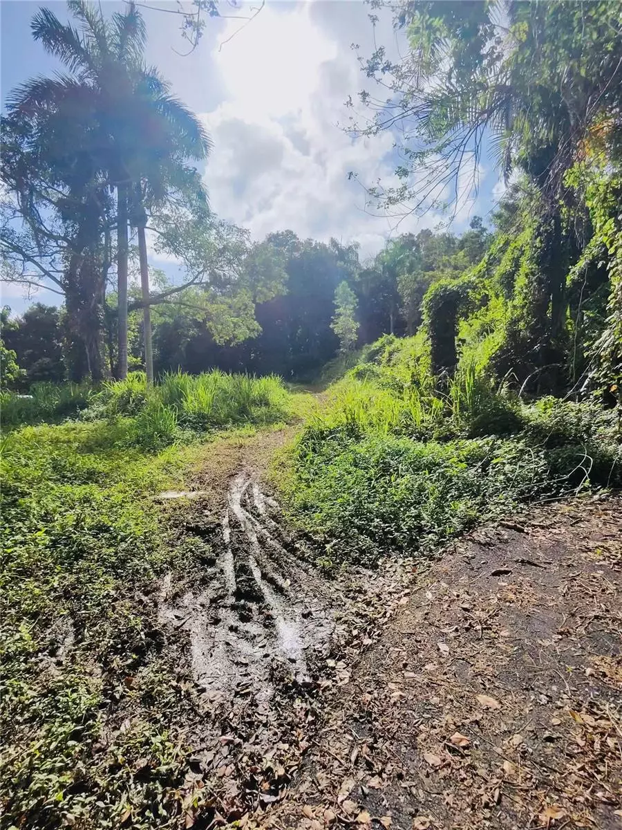 Rio Grande, PR 00745,5 COMM LA VEGA COLINAS DEL YUNQUE #81