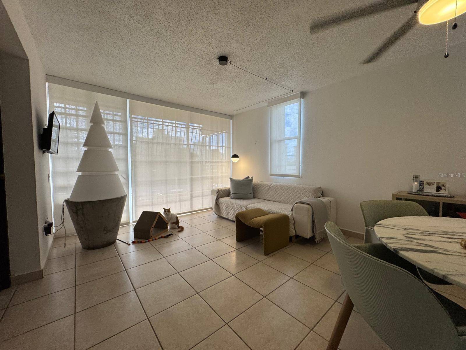 San Juan, PR 00911,109 TAFT #4B