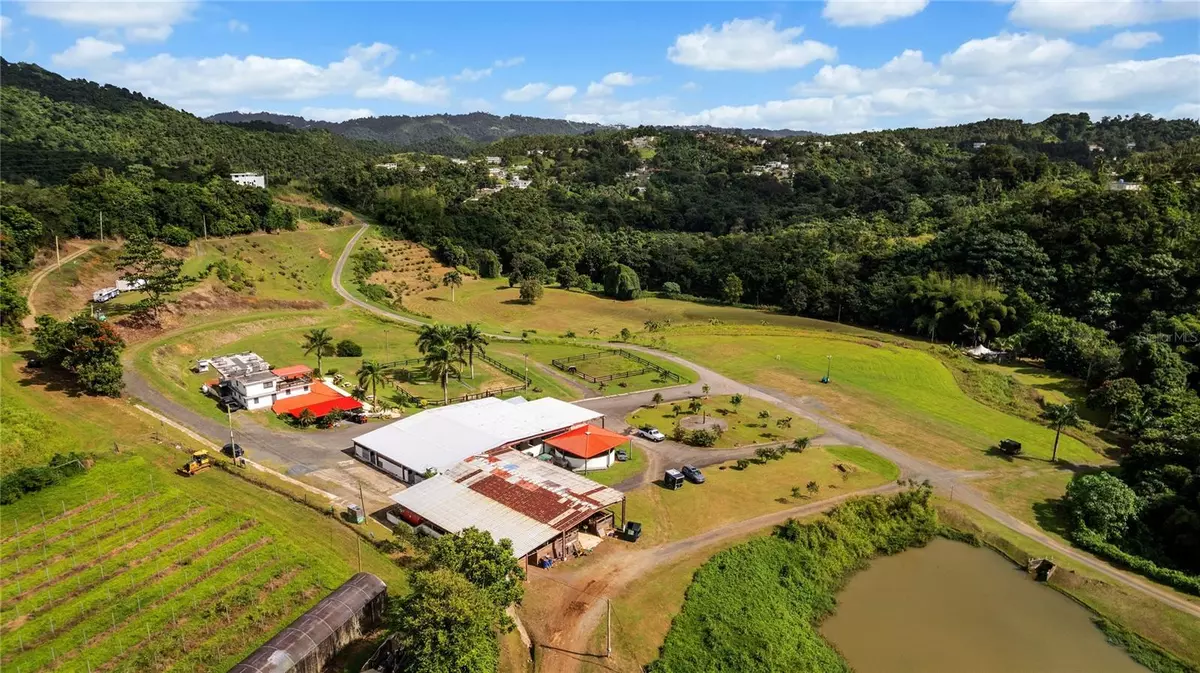 Aguas Buenas, PR 00703,HACIENDA CASCADA