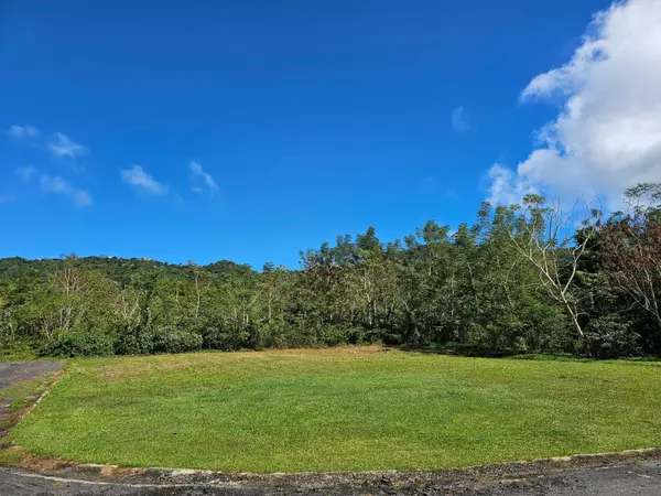 Gurabo, PR 00778,BO. CELADA SECTOR LOS CHINO