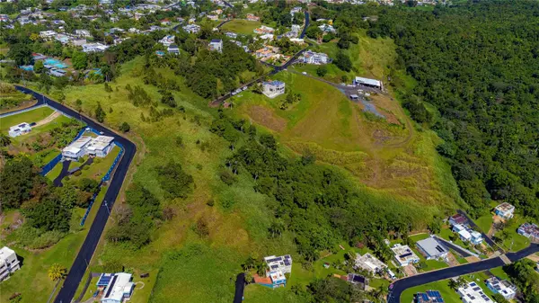 Bayamon, PR 00956,BO. MINILLAS CAMINO PABLO SILVA