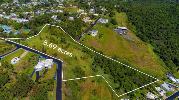 BO. MINILLAS CAMINO PABLO SILVA, Bayamon, PR 00956
