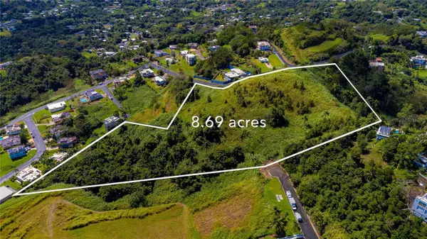 Bayamon, PR 00956,BO. MINILLAS CAMINO PABLO SILVA