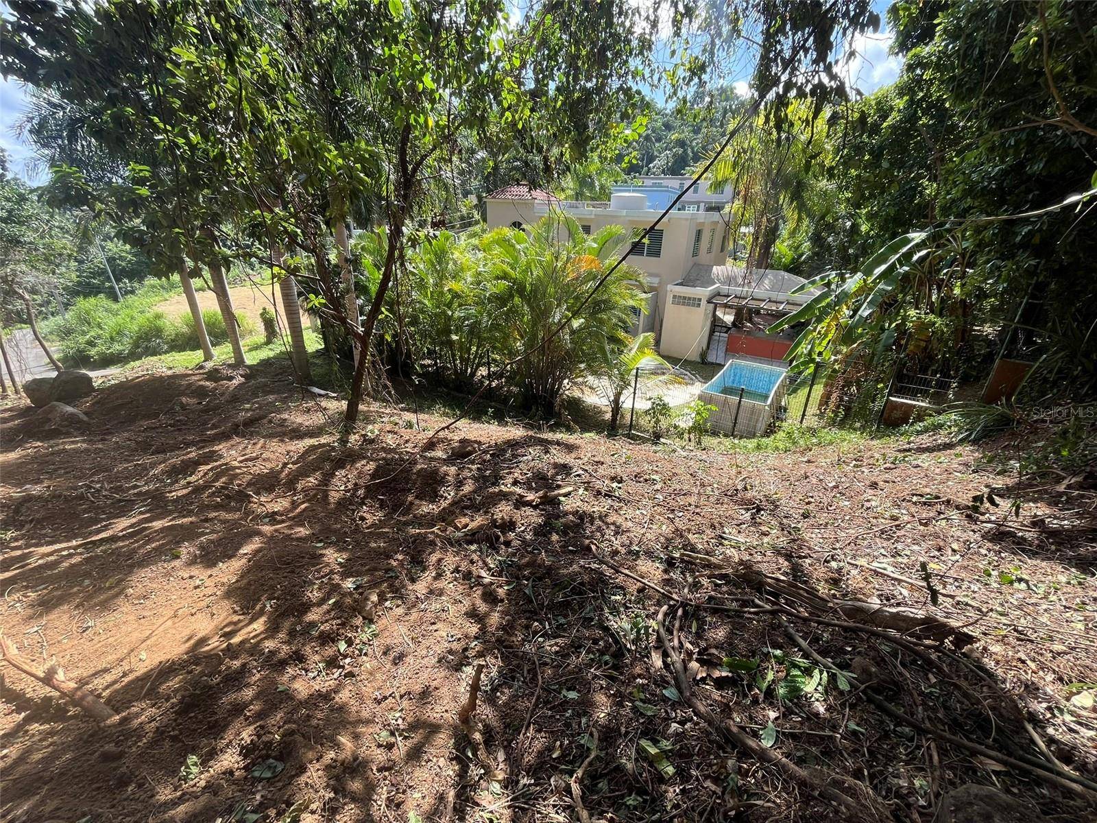 Bayamon, PR 00961,174