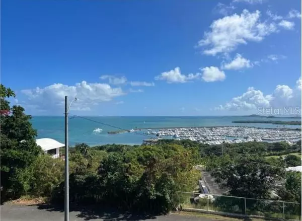 Fajardo, PR 00738,Las Gaviotas AUSUBO Y FELIPE II #C-33