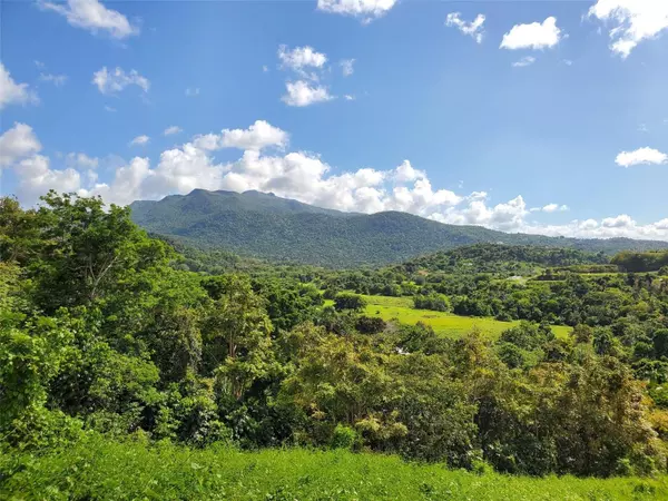 Luquillo, PR 00773,SR 992 KM 5.2