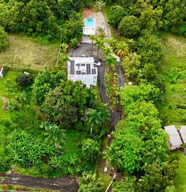 Rio Grande, PR 00745,Cienaga Alta LOT 1