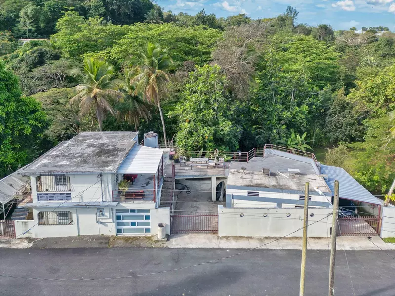 CARR. 831 BO. MINILLAS SECTOR TITO TORRES 4 CARR. 831, Bayamon, PR 00959