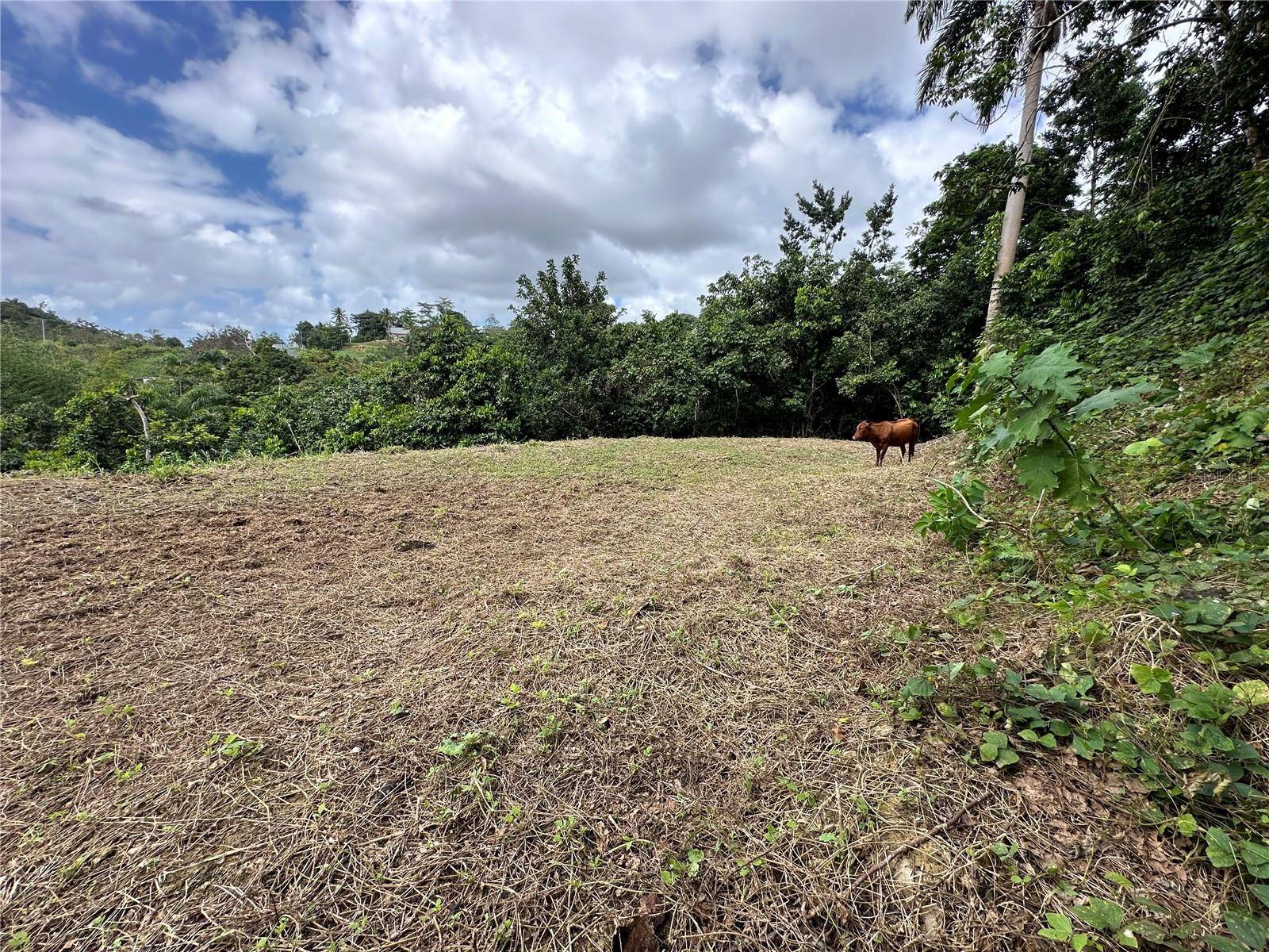 San Juan, PR 00927,CAMINO LOS OLMOS #Lot I