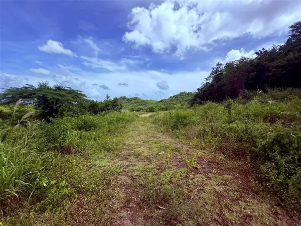 Salinas, PR 00751,PARCELA #74