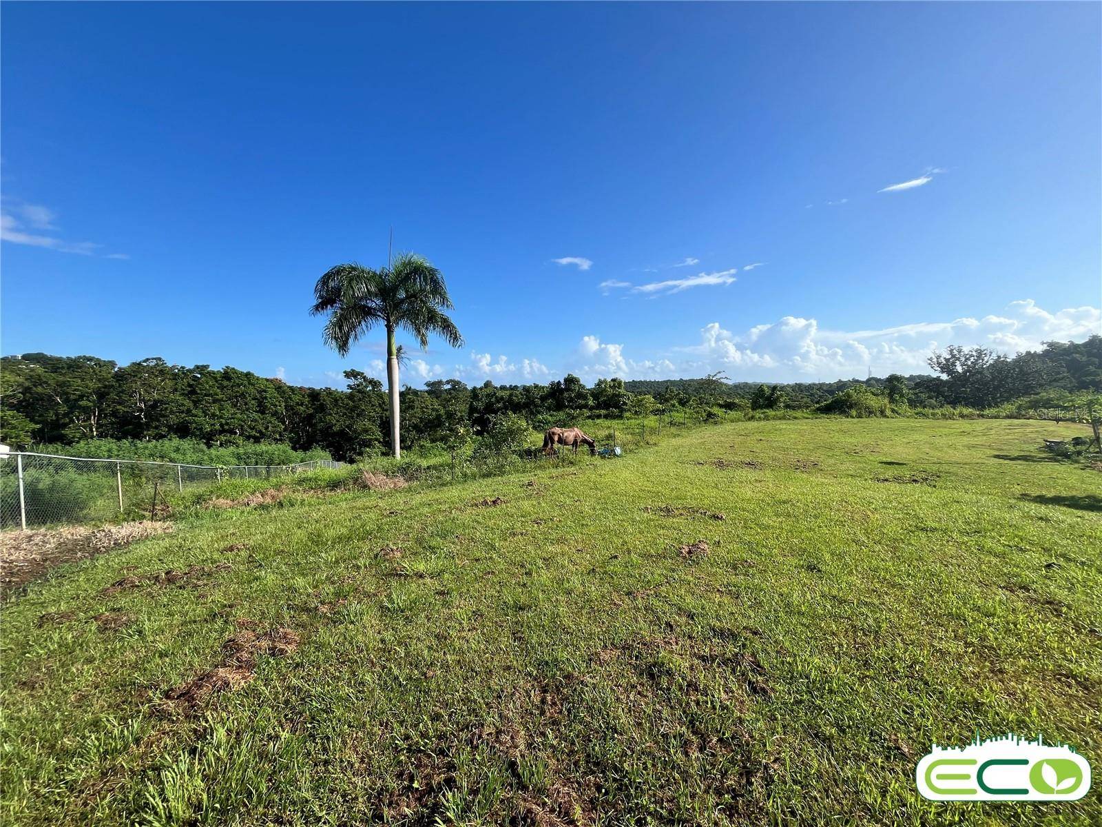 Carolina, PR 00987,CARR. 857 KM.HM 003 3 BO. CANOVANILLAS