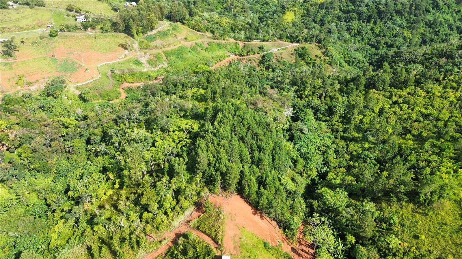 Corozal, PR 00783,Bo. Maná CARR. 802 KM 2.5