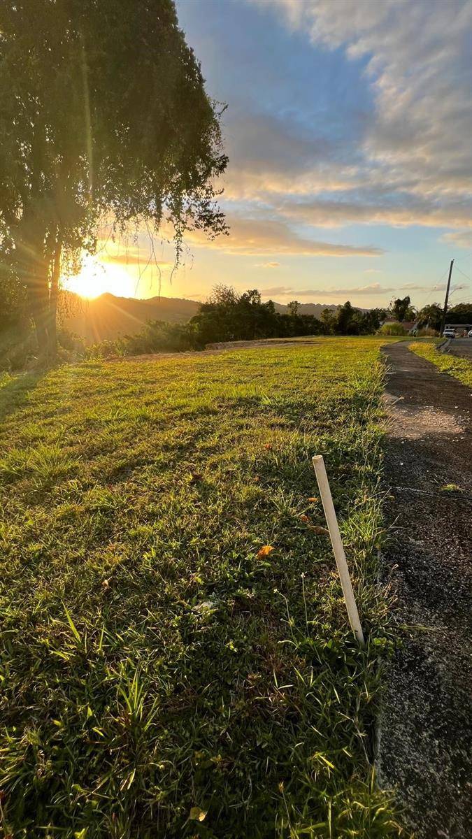 Manati, PR 00674,Solar 21 BO. RIO ARRIBA