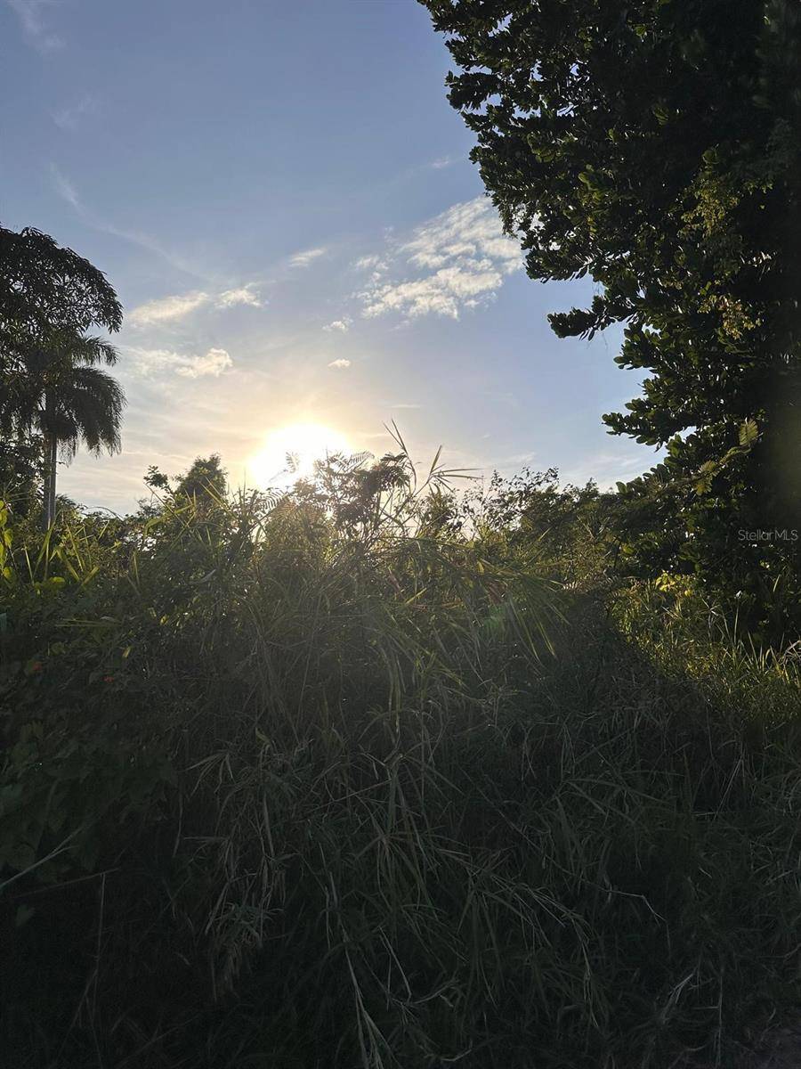 Vega Baja, PR 00693,PR-160 km 10.6 Int Lot 50 RANCHOS NATIVOS