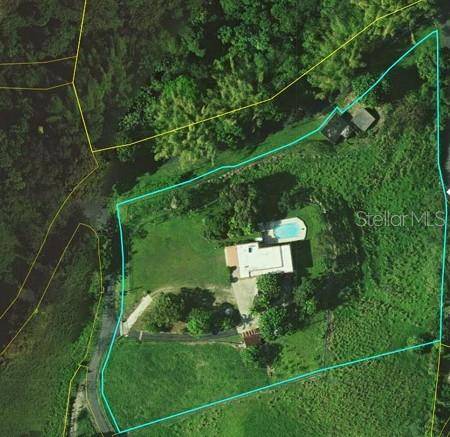 Naguabo, PR 00718,31 BO. PEÑA POBRE