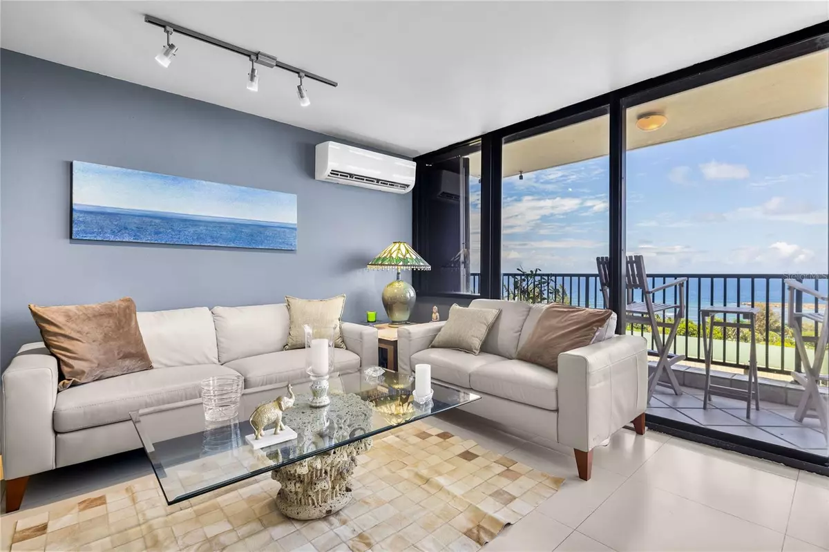 San Juan, PR 00901,450 Av de la Constitución APT. 11